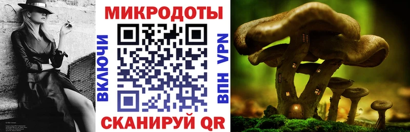Галлюциногенные грибы MAGIC MUSHROOMS  Купить закладки  Новосокольники 